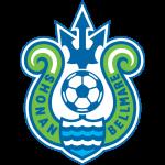 湘南海洋球队图片